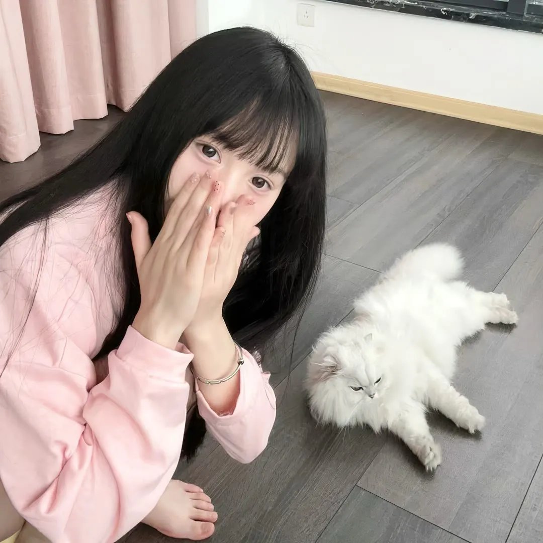 花牌情缘 下之句